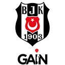 Besiktas JK Istanbul
