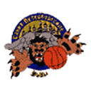 Saint Petersburg Lions