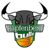 Superfund Kapfenberg