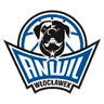 Anwil Wloclawek